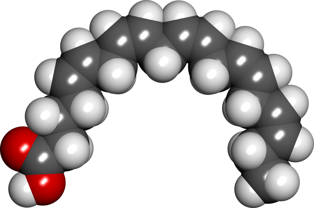 Eicosapentaenoic acid spacefill.png